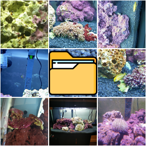 Original Marine Aquarium (2015-2016)
